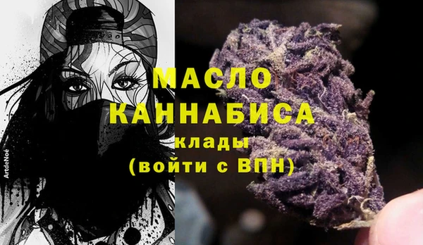 шишки Заводоуковск