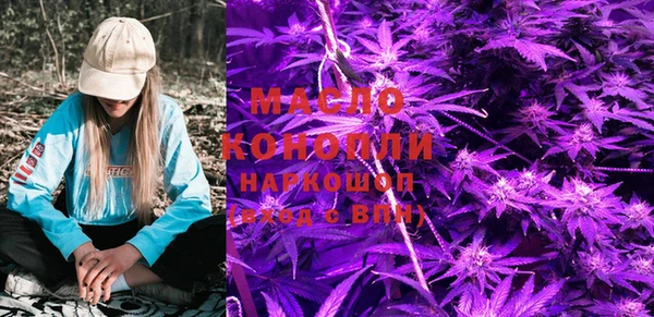 шишки Заводоуковск