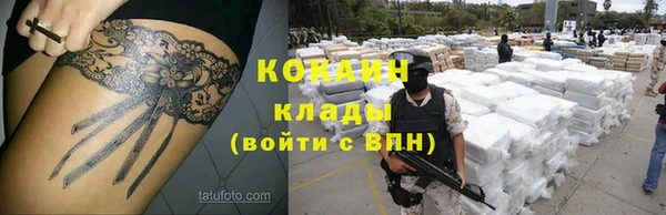 шишки Заводоуковск