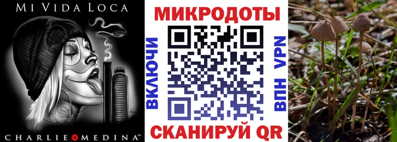 Купить закладки  Киселёвск  Галлюциногенные грибы GOLDEN TEACHER 